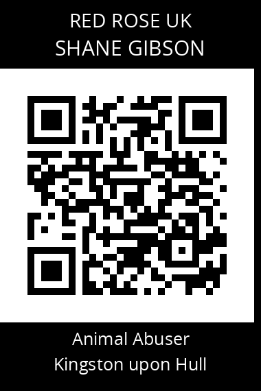 QR code for shane-gibson
