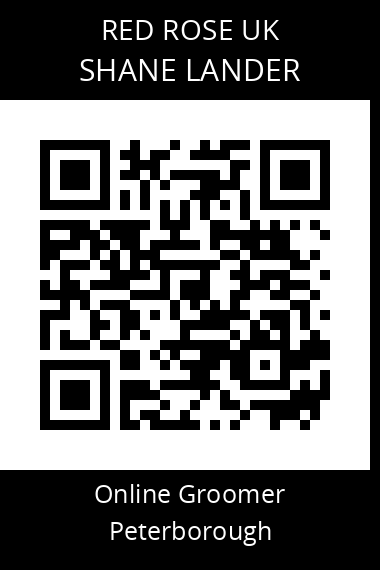 QR code for shane-lander
