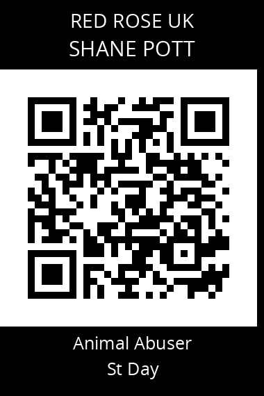 QR code for shane-pott