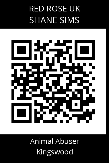 QR code for shane-sims