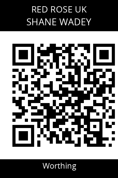 QR code for shane-wadey-son9tq