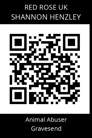 QR code for shannon-henzley