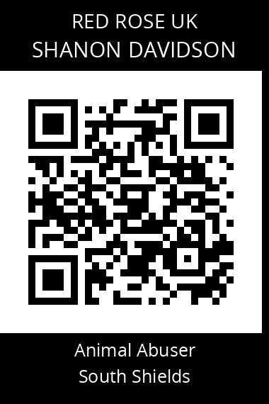 QR code for shanon-davidson