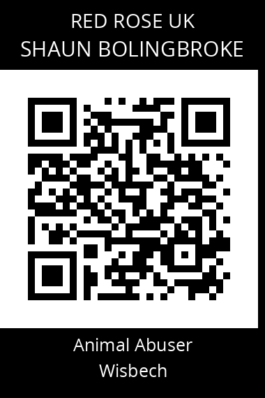 QR code for shaun-bolingbroke