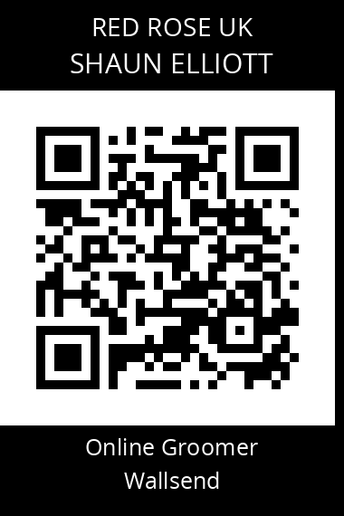 QR code for shaun-elliott