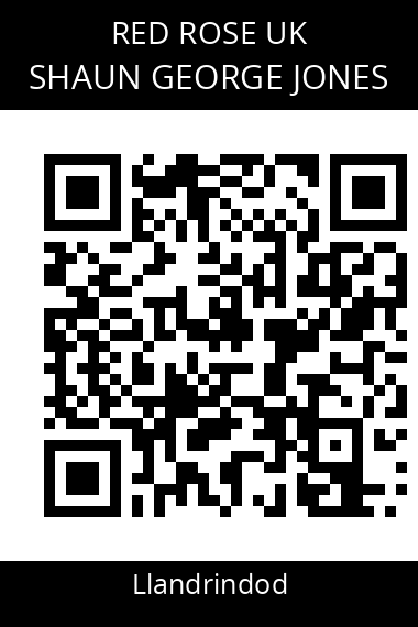 QR code for shaun-george-jones