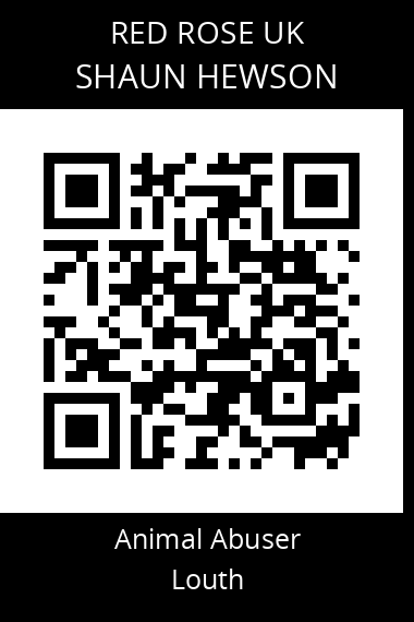 QR code for shaun-hewson