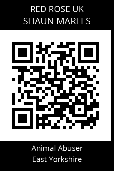 QR code for shaun-marles