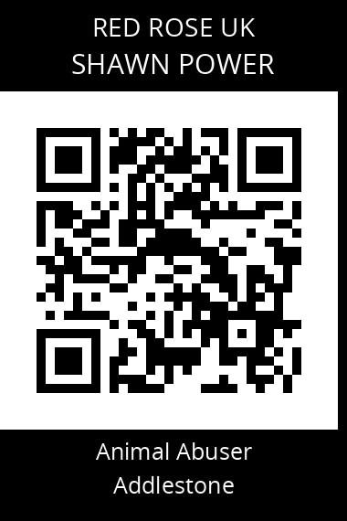 QR code for shawn-power
