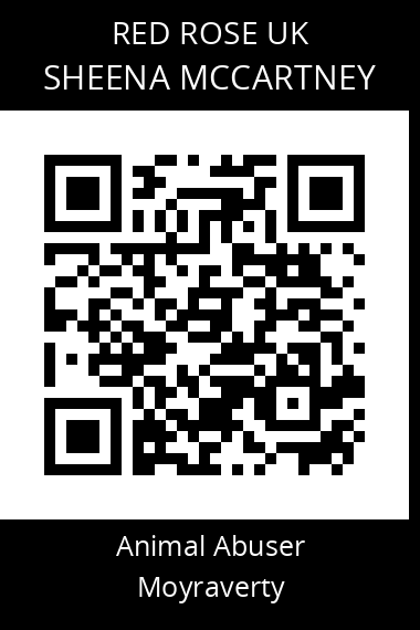 QR code for sheena-mccartney
