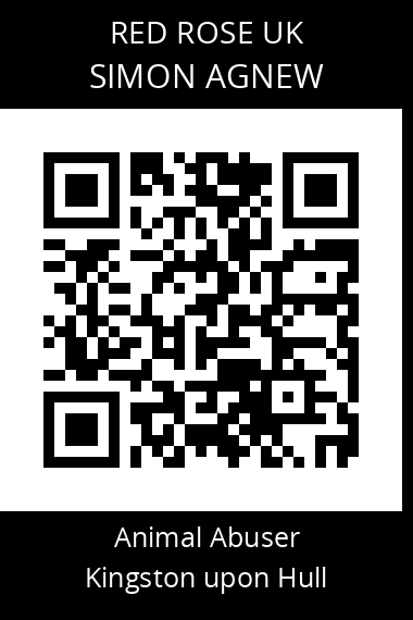 QR code for simon-agnew