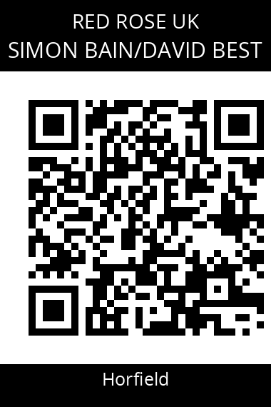 QR code for simon-baindavid-best