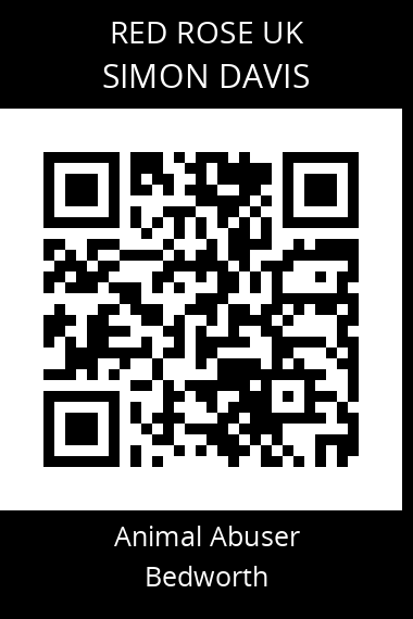 QR code for simon-davis