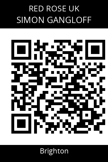 QR code for simon-gangloff-aink22