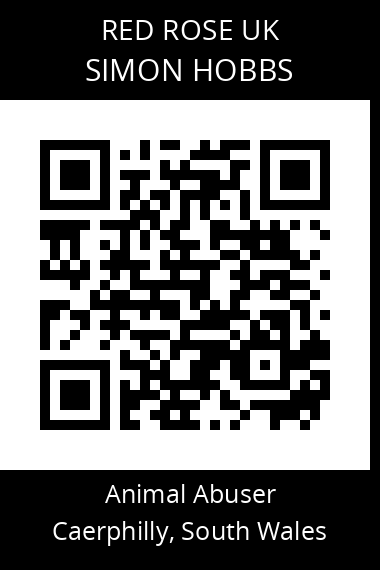 QR code for simon-hobbs