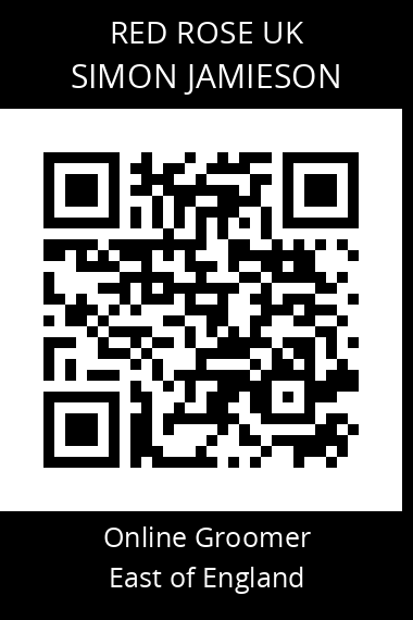 QR code for simon-jamieson