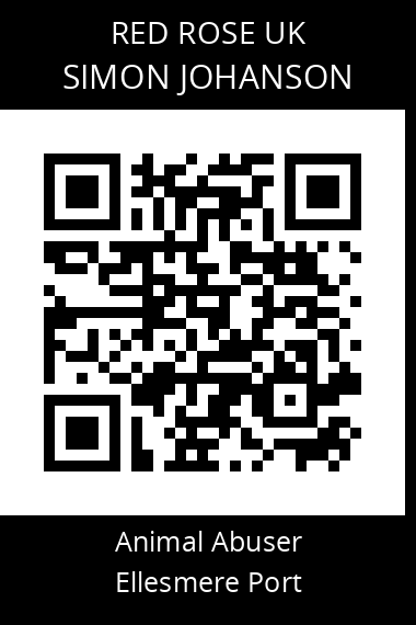 QR code for simon-johanson