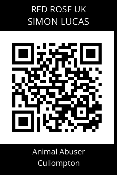QR code for simon-lucas