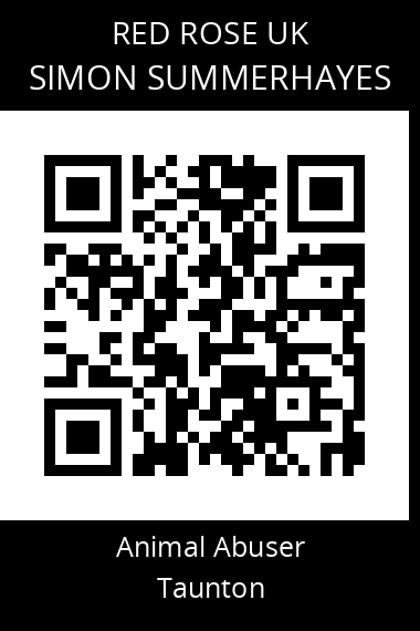 QR code for simon-summerhayes