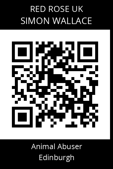 QR code for simon-wallace