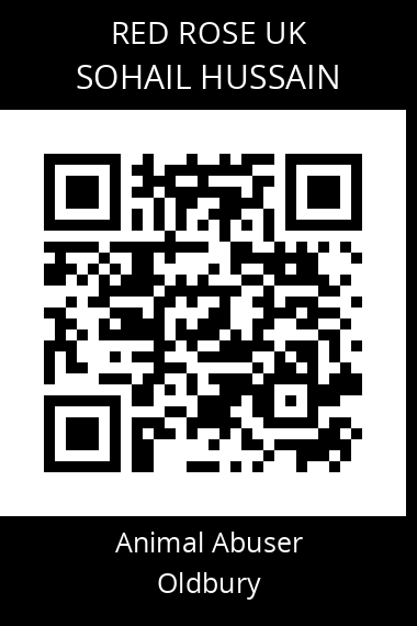 QR code for sohail-hussain