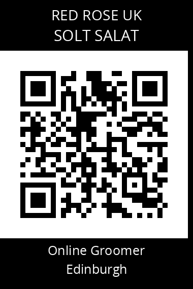 QR code for solt-salat