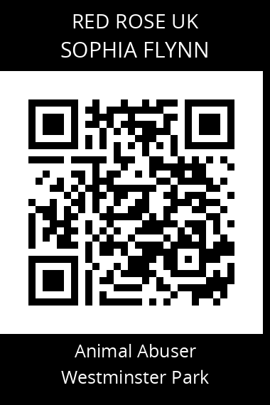 QR code for sophia-flynn
