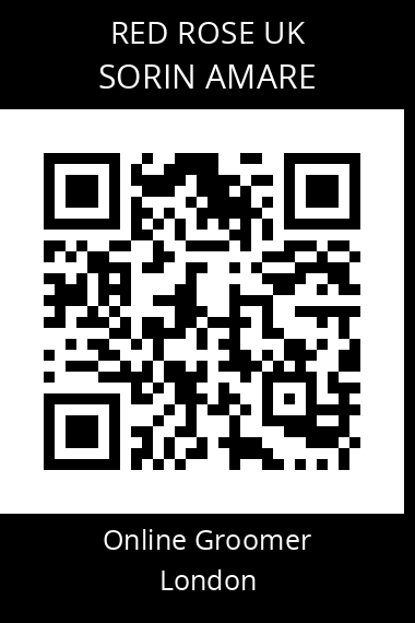 QR code for sorin-amare