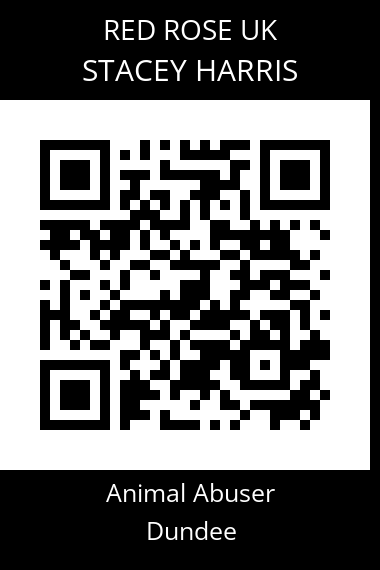 QR code for stacey-harris