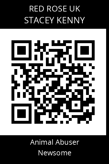 QR code for stacey-kenny