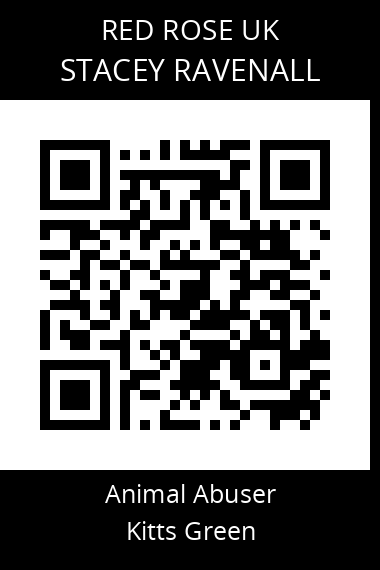 QR code for stacey-ravenall