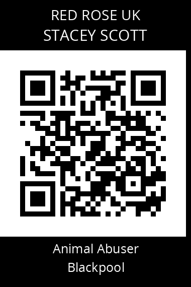 QR code for stacey-scott