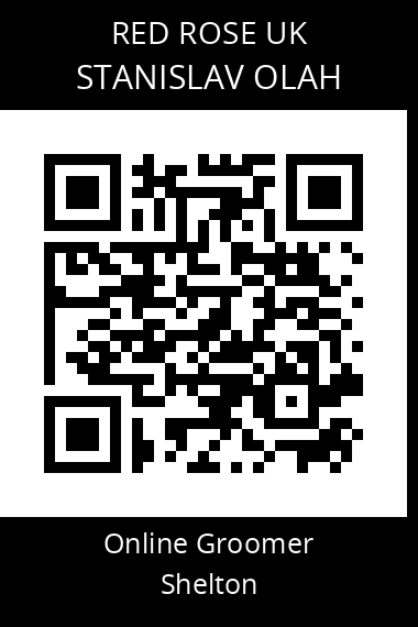 QR code for stanislav-olah