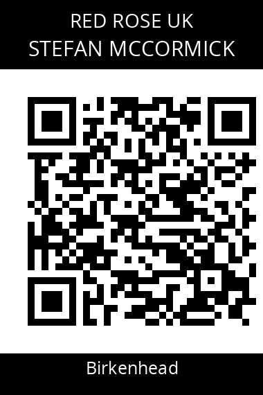 QR code for stefan-mccormick-1