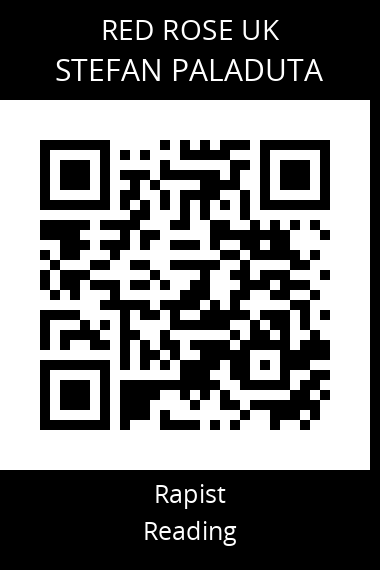 QR code for stefan-paladuta
