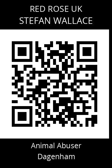 QR code for stefan-wallace