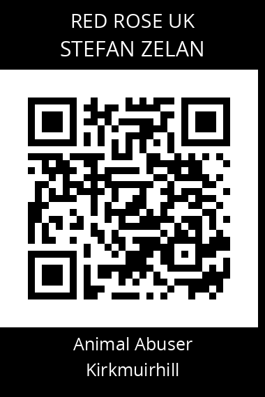 QR code for stefan-zelan