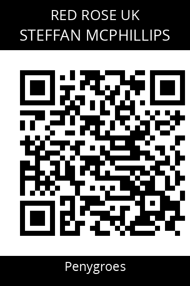 QR code for steffan-mcphillips