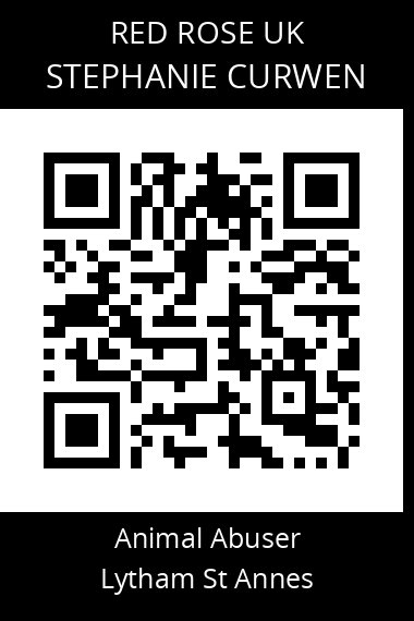 QR code for stephanie-curwen