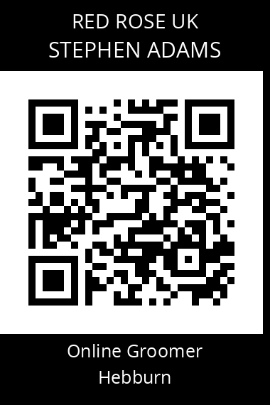QR code for stephen-adams-1