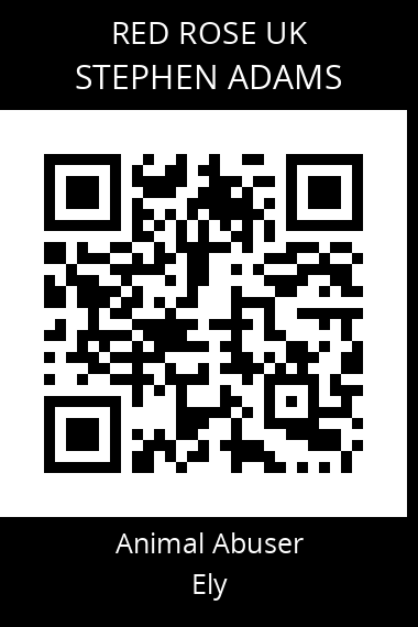 QR code for stephen-adams