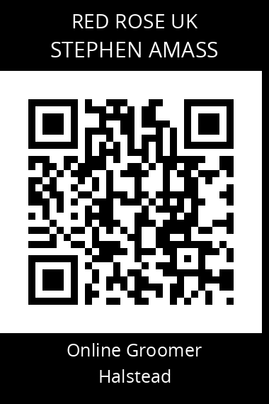 QR code for stephen-amass