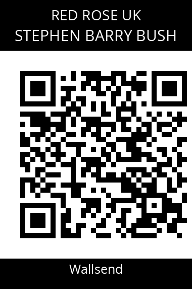 QR code for stephen-barry-bush