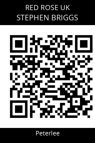 QR code for stephen-briggs-qyr33a