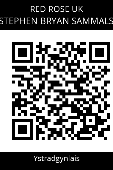 QR code for stephen-bryan-sammals