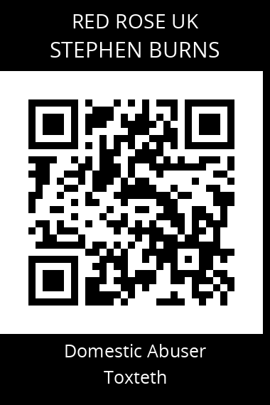 QR code for stephen-burns-2