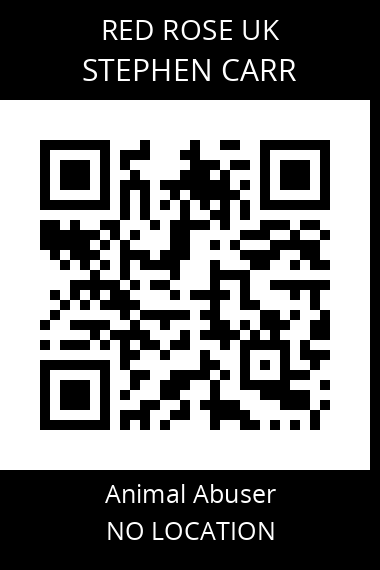 QR code for stephen-carr-2