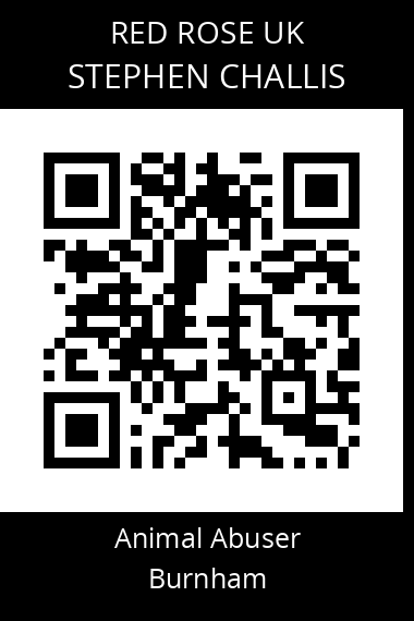 QR code for stephen-challis