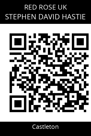 QR code for stephen-david-hastie