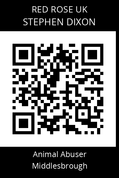 QR code for stephen-dixon